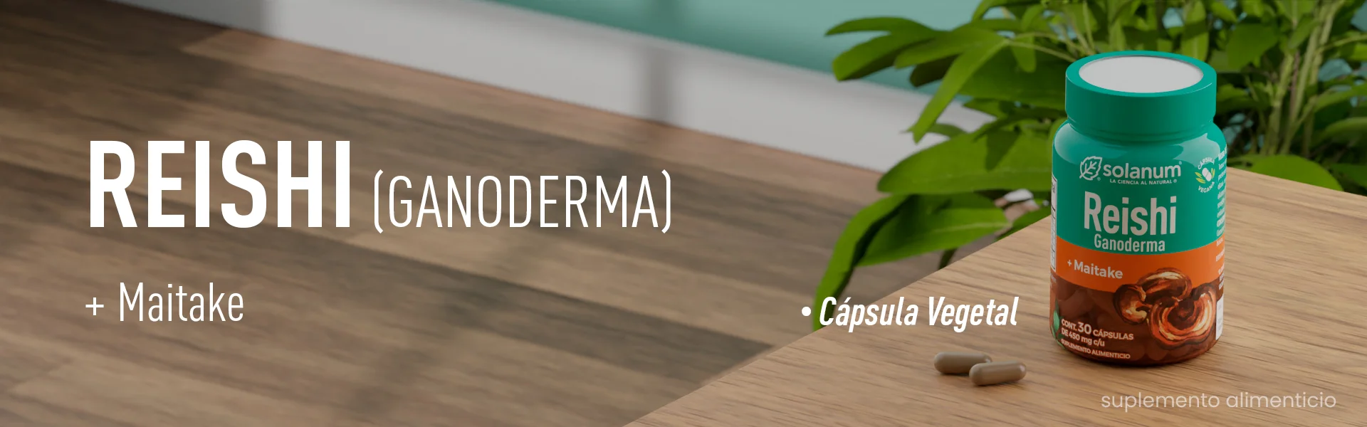 Reishi, capsula vegetal, solanum