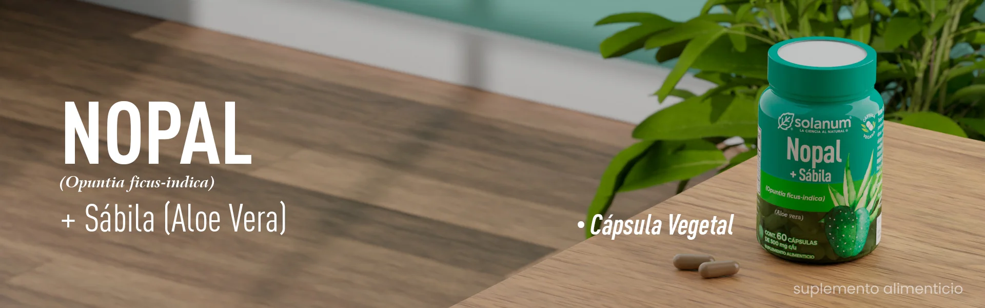 Nopal, capsula vegetal, solanum
